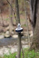 T-REX Strong Tape - Image 13