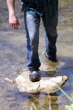 T-REX Strong Tape - Image 12