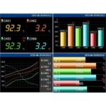 Rhegene DV24 Temperature Recorder - Image 5