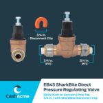 Cash Acme Water Pressure Regulator - Image 5
