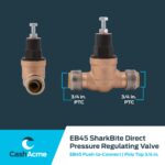 Cash Acme Water Pressure Regulator - Image 2