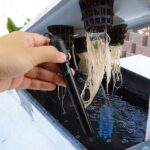 Long Body BNC pH Electrode - Image 2