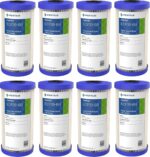 Pentair ECP20-BB Big Blue Water Filter