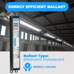 OHLECTRIC Electronic Ballast - Image 4