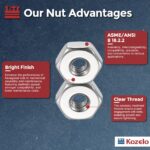 Kozelo Hex Nuts Set - Image 3