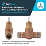 Cash Acme Water Pressure Regulator - Image 3