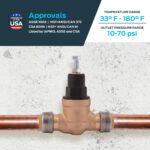 Cash Acme Water Pressure Regulator - Image 5